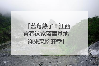 蓝莓熟了！江西宜春这家蓝莓基地迎来采摘旺季