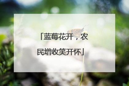 蓝莓花开，农民增收笑开怀