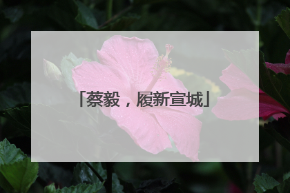 蔡毅，履新宣城