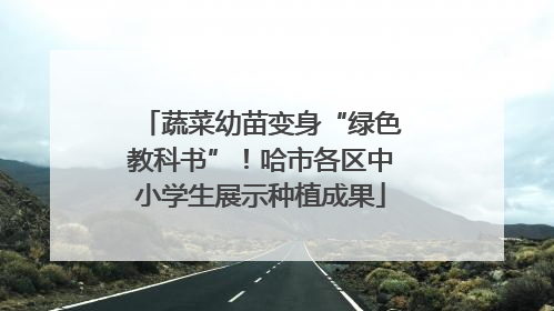 蔬菜幼苗变身“绿色教科书”！哈市各区中小学生展示种植成果