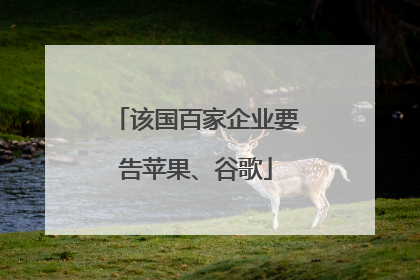 该国百家企业要告苹果、谷歌