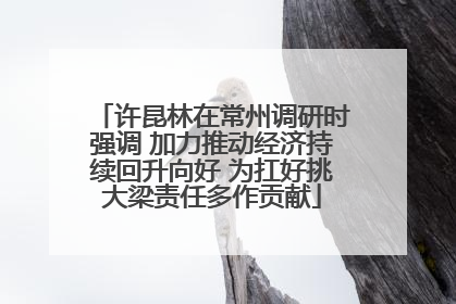 许昆林在常州调研时强调 加力推动经济持续回升向好 为扛好挑大梁责任多作贡献