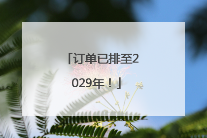 订单已排至2029年！