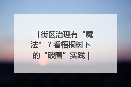 街区治理有“魔法”？看梧桐树下的“破圈”实践｜我在街区当书记