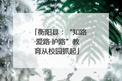 衡阳县：“知路·爱路·护路”教育从校园抓起