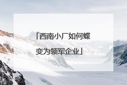 西南小厂如何蝶变为领军企业