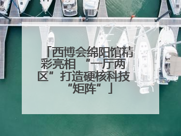 西博会绵阳馆精彩亮相 “一厅两区”打造硬核科技“矩阵”