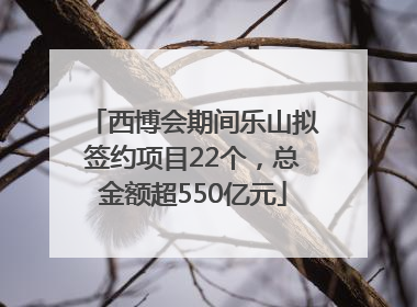 西博会期间乐山拟签约项目22个，总金额超550亿元
