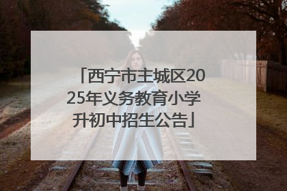 西宁市主城区2025年义务教育小学升初中招生公告
