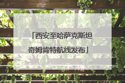 西安至哈萨克斯坦奇姆肯特航线发布