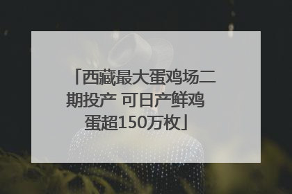 西藏最大蛋鸡场二期投产 可日产鲜鸡蛋超150万枚
