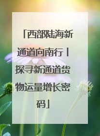 西部陆海新通道向南行丨探寻新通道货物运量增长密码
