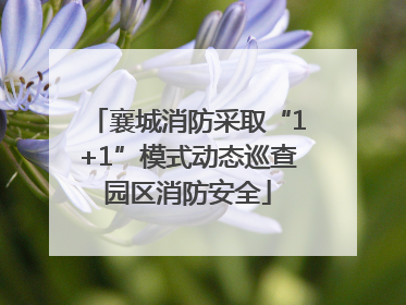 襄城消防采取“1+1”模式动态巡查园区消防安全