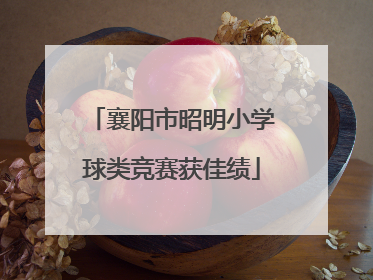 襄阳市昭明小学球类竞赛获佳绩