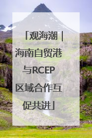 观海潮｜海南自贸港与RCEP区域合作互促共进