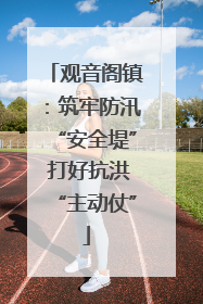 观音阁镇：筑牢防汛“安全堤” 打好抗洪“主动仗”
