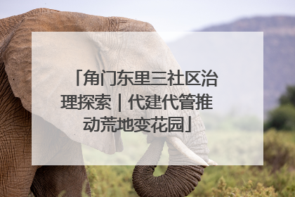 角门东里三社区治理探索｜代建代管推动荒地变花园