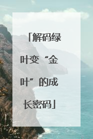 解码绿叶变“金叶”的成长密码