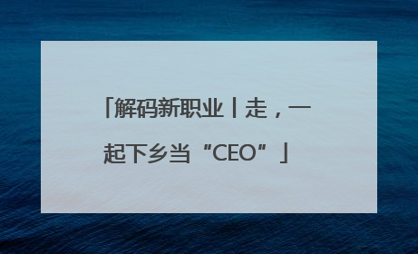 解码新职业丨走，一起下乡当“CEO”