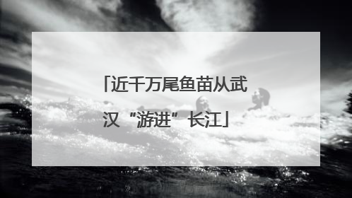 近千万尾鱼苗从武汉“游进”长江