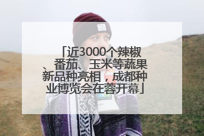 近3000个辣椒、番茄、玉米等蔬果新品种亮相，成都种业博览会在蓉开幕