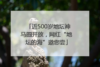 近500岁地坛神马圈开放，网红“地坛的海”邀您尝