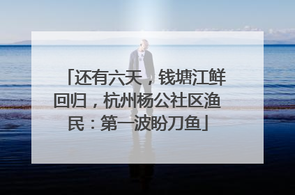 还有六天，钱塘江鲜回归，杭州杨公社区渔民：第一波盼刀鱼