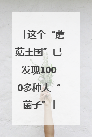 这个“蘑菇王国”已发现1000多种大“菌子”