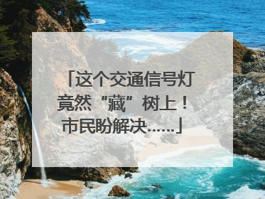 这个交通信号灯竟然“藏”树上！市民盼解决……