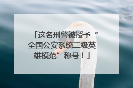这名刑警被授予“全国公安系统二级英雄模范”称号！