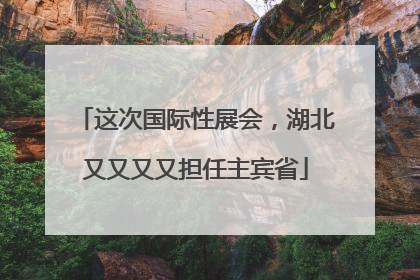 这次国际性展会，湖北又又又又担任主宾省