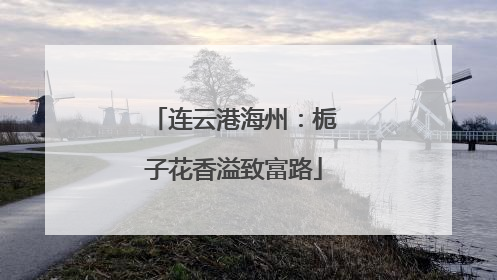 连云港海州：栀子花香溢致富路