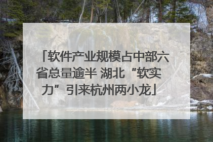 软件产业规模占中部六省总量逾半 湖北“软实力”引来杭州两小龙