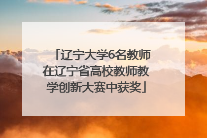 辽宁大学6名教师在辽宁省高校教师教学创新大赛中获奖