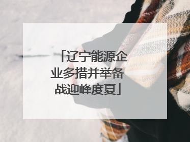 辽宁能源企业多措并举备战迎峰度夏