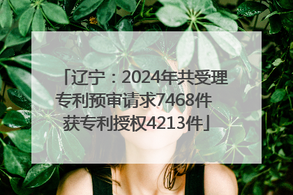 辽宁：2024年共受理专利预审请求7468件 获专利授权4213件