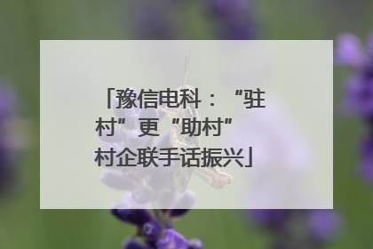 豫信电科：“驻村”更“助村” 村企联手话振兴