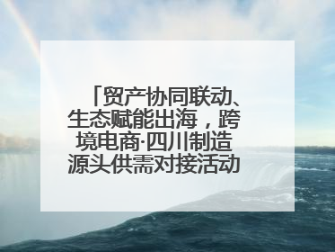 贸产协同联动、生态赋能出海，跨境电商·四川制造源头供需对接活动在成都举办