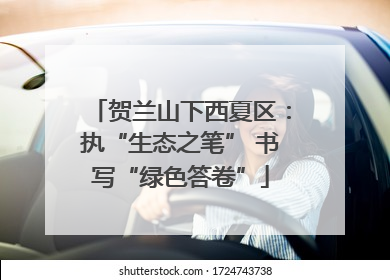 贺兰山下西夏区：执“生态之笔” 书写“绿色答卷”