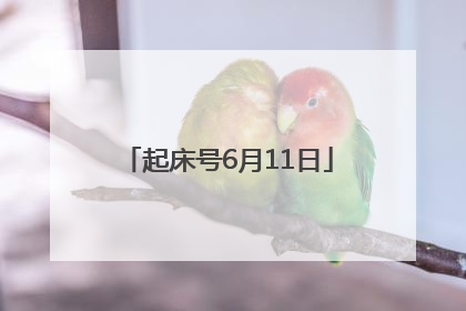 起床号6月11日