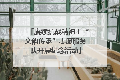 赓续抗战精神！“文韵传承”志愿服务队开展纪念活动