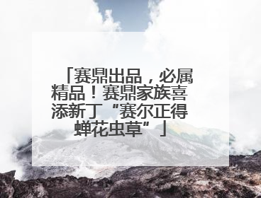 赛鼎出品，必属精品！赛鼎家族喜添新丁“赛尔正得蝉花虫草”