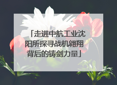 走进中航工业沈阳所探寻战机翱翔背后的铸剑力量