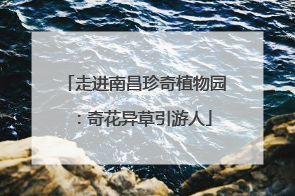 走进南昌珍奇植物园：奇花异草引游人
