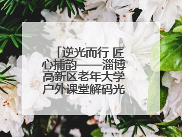 逆光而行 匠心捕韵——淄博高新区老年大学户外课堂解码光影美学密码