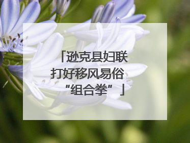 逊克县妇联打好移风易俗“组合拳”
