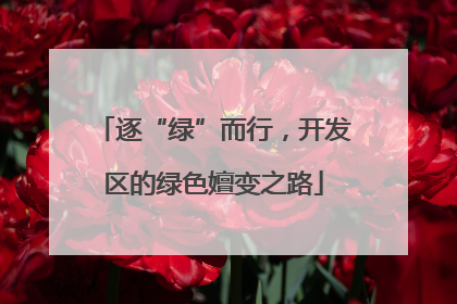 逐“绿”而行，开发区的绿色嬗变之路