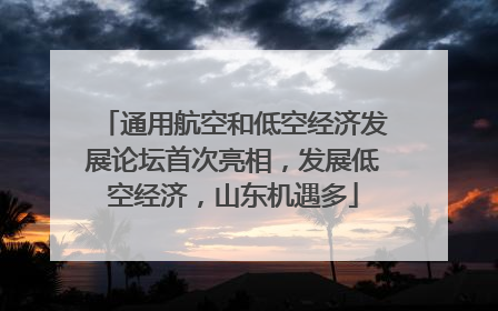 通用航空和低空经济发展论坛首次亮相，发展低空经济，山东机遇多