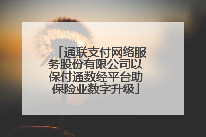 通联支付网络服务股份有限公司以保付通数经平台助保险业数字升级