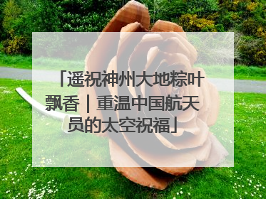遥祝神州大地粽叶飘香｜重温中国航天员的太空祝福